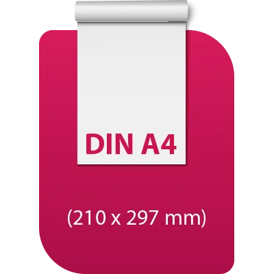 DTF Druck 560mm Breit in freier Länge bestellen